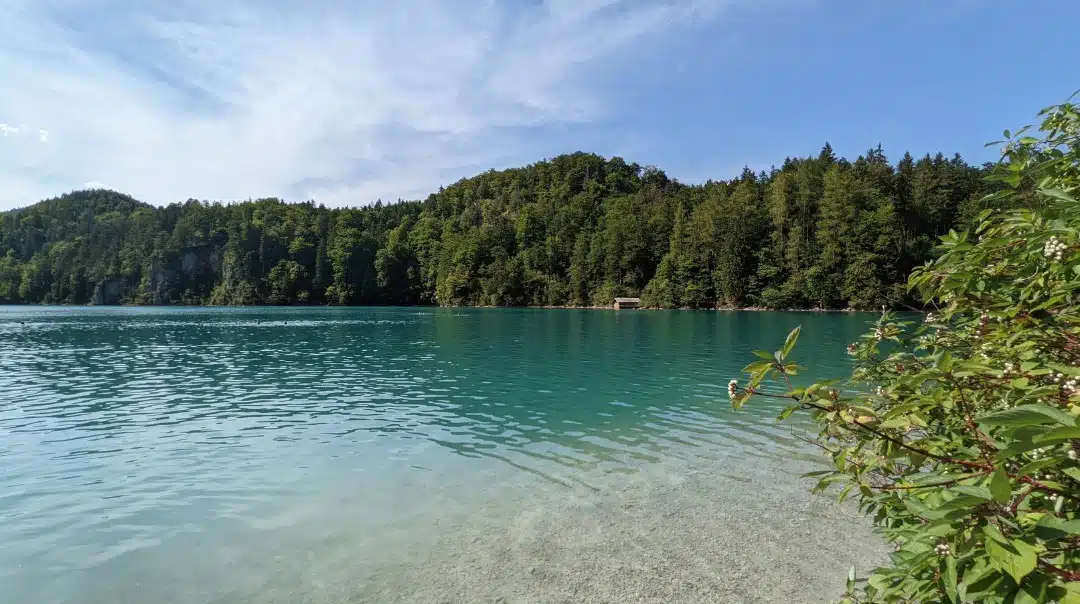 Top 5 Lakes in Bavaria - Alpsee #lakesinbavaria #alpsee